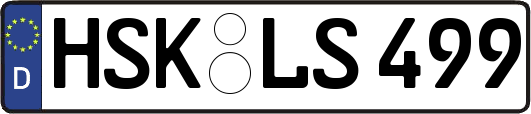 HSK-LS499
