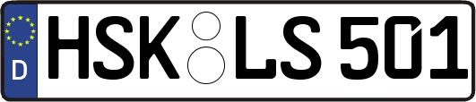 HSK-LS501