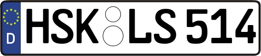 HSK-LS514