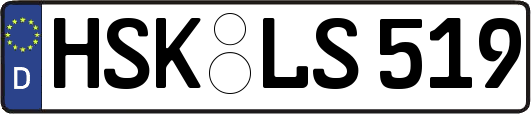 HSK-LS519