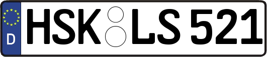 HSK-LS521