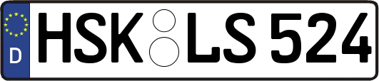 HSK-LS524