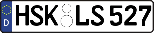 HSK-LS527