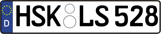 HSK-LS528