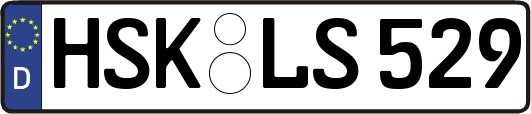 HSK-LS529