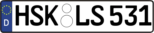 HSK-LS531