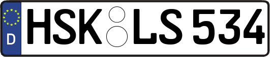 HSK-LS534