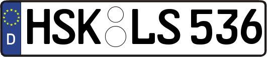 HSK-LS536