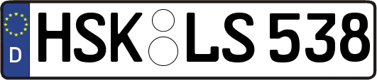 HSK-LS538