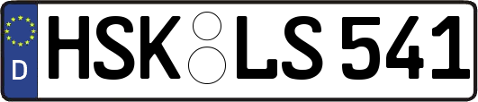 HSK-LS541