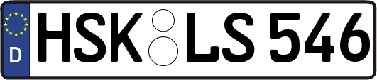 HSK-LS546