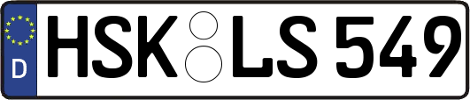 HSK-LS549