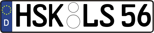 HSK-LS56