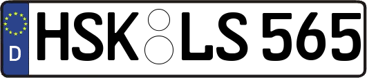 HSK-LS565