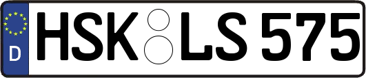 HSK-LS575