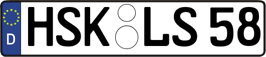 HSK-LS58
