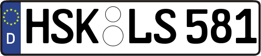 HSK-LS581