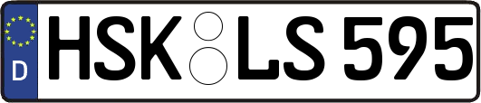 HSK-LS595