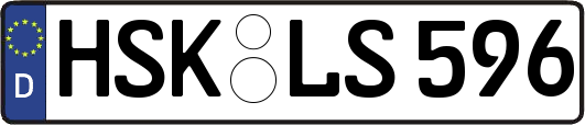 HSK-LS596