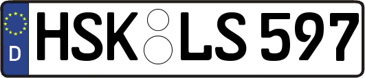 HSK-LS597
