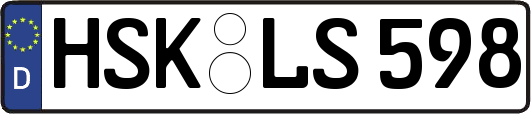 HSK-LS598
