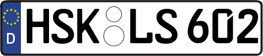 HSK-LS602