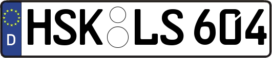 HSK-LS604