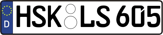 HSK-LS605