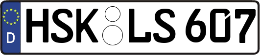 HSK-LS607