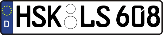 HSK-LS608