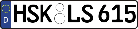 HSK-LS615