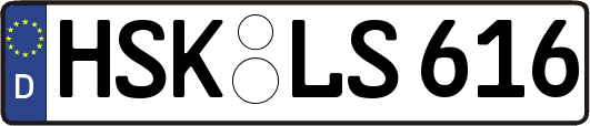 HSK-LS616