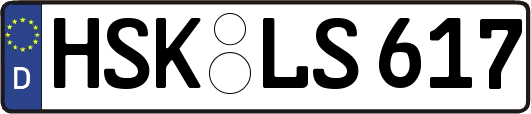 HSK-LS617