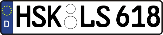 HSK-LS618