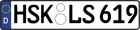 HSK-LS619