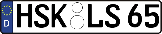 HSK-LS65