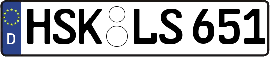 HSK-LS651