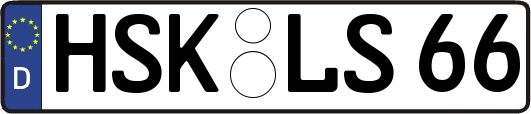 HSK-LS66