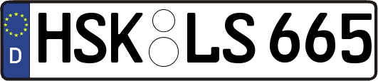 HSK-LS665