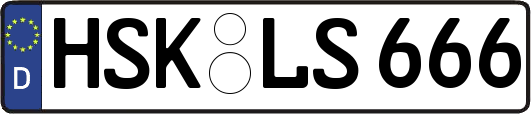 HSK-LS666