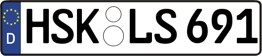HSK-LS691
