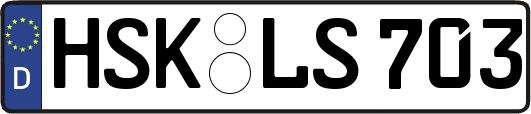 HSK-LS703