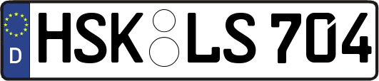 HSK-LS704