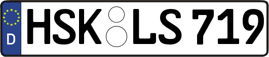 HSK-LS719