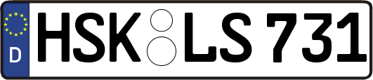 HSK-LS731