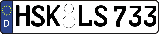 HSK-LS733