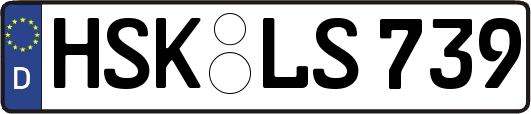 HSK-LS739