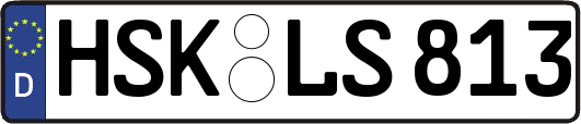 HSK-LS813