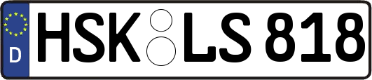 HSK-LS818