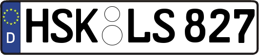 HSK-LS827